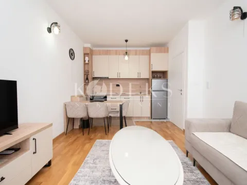 Rent, one bedroom apartment, 39m², Zagorič, Podgorica - image 1