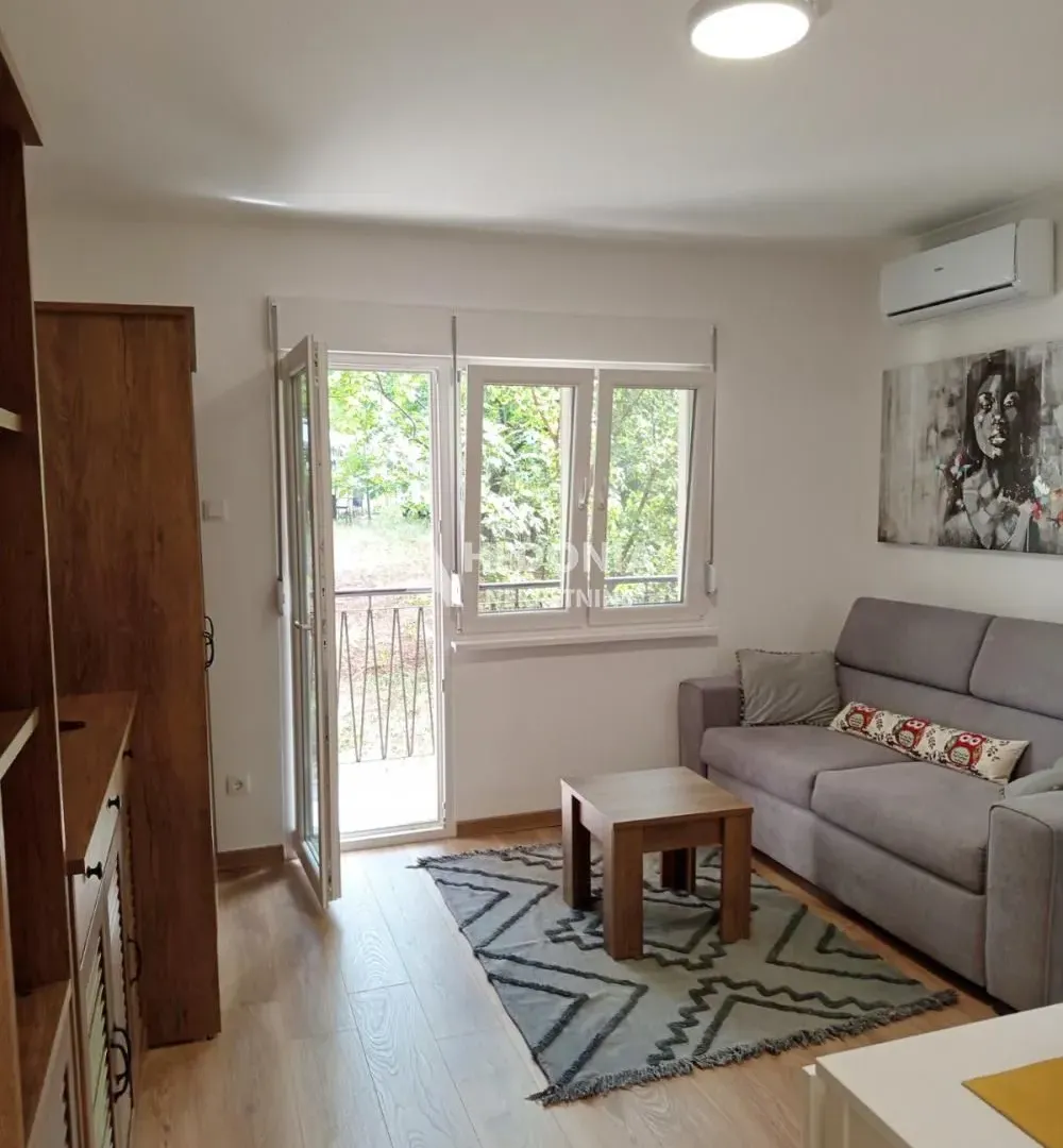 Izdavanje, stan, 25m², Čukarica, Beograd