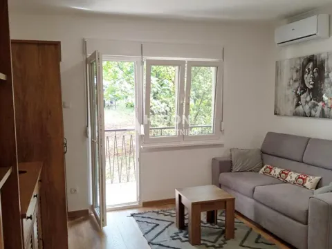 Izdavanje, stan, 25m², Čukarica, Beograd - image 1