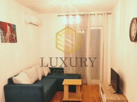 Rent, one bedroom apartment, 43m², Central Point, Podgorica - image 1