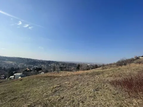 Prodaja, plac, 3064m², Sremska Kamenica, Petrovaradin - image 5