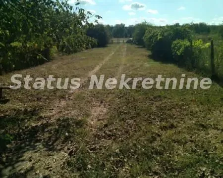 Sale, land lot, 2200m², Begeč, Novi Sad Sve Podlokacije - image 8