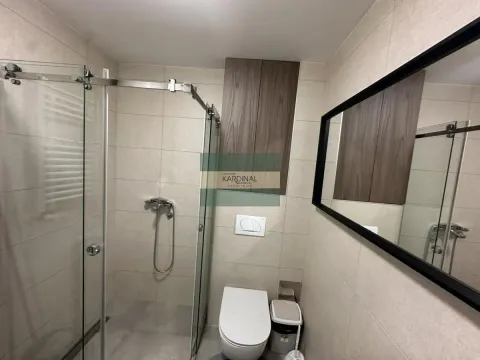 Izdavanje, jednosoban stan, 31m², Bubanj, Kragujevac - image 7