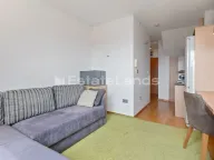 Izdavanje, garsonjera, 19m², Centar, Tivat - image 4