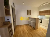 Rent, one bedroom apartment, 44m², Botanička Bašta, Palilula Sve Podlokacije - image 8