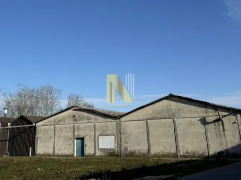 Rent, office space, 1730m², Salajka, Novi Sad Sve Podlokacije