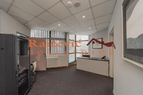 Izdavanje, poslovni prostor, 315m², Banovo Brdo, Beograd - image 16