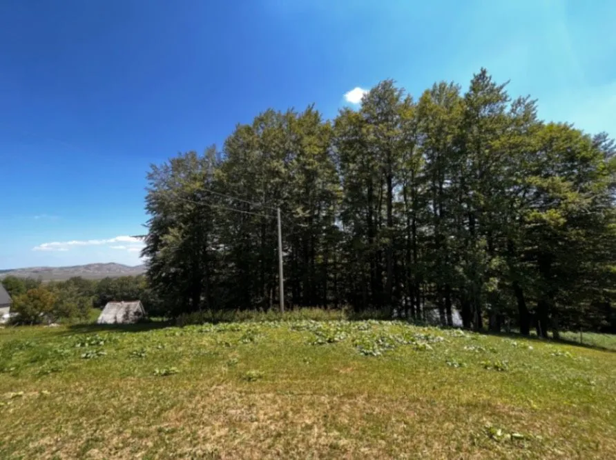 Prodaja, plac, 12000m², Žabljak, Crna Gora