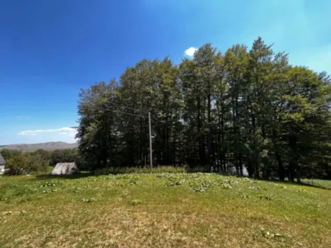 Prodaja, plac, 12000m², Žabljak, Crna Gora - image 3