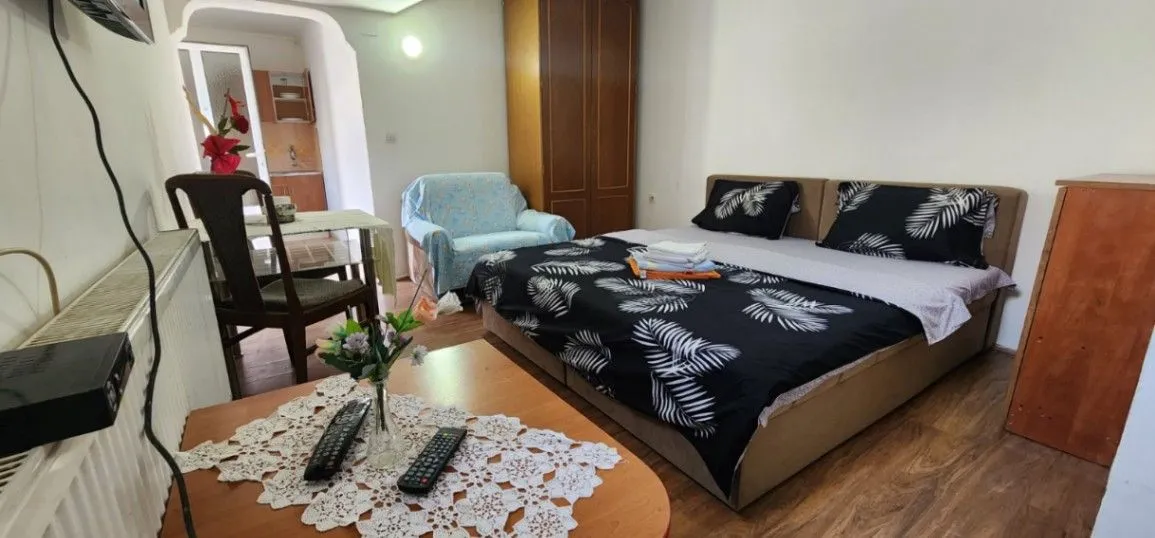 Izdavanje, jednosoban stan, 30m², Petrovaradin, Novi Sad