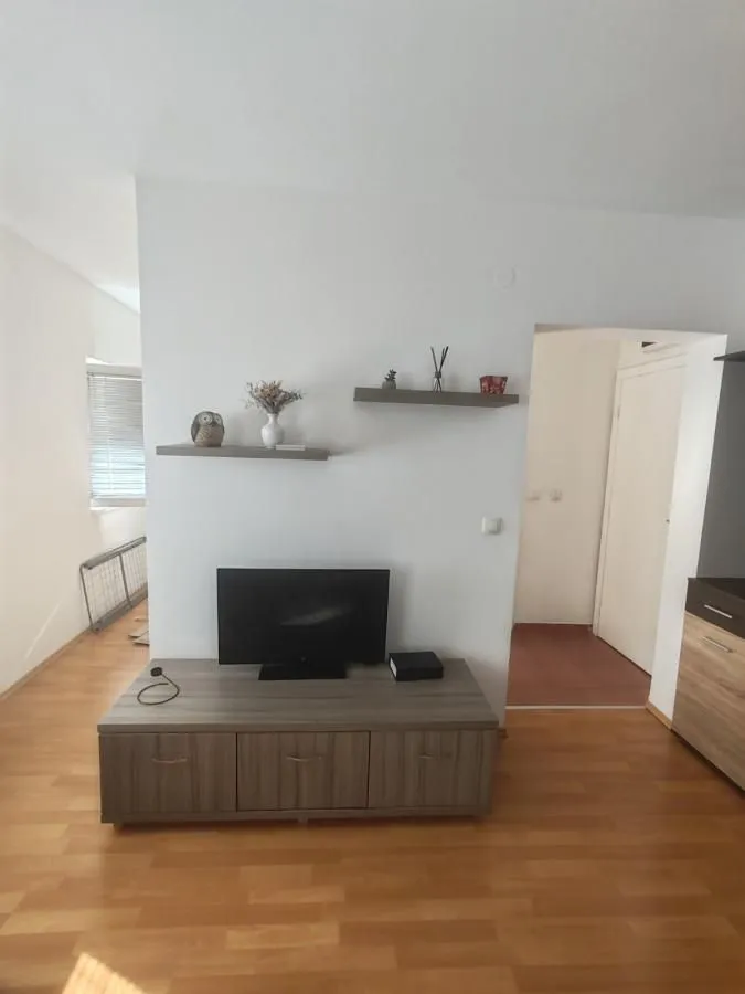 Rent, one bedroom apartment, 32m², Bulevar patrijarha Pavla, Novi Sad Sve Podlokacije