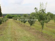 Sale, house, 35m², Krčedin, Inđija - image 5