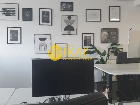 Izdavanje, poslovni prostor, 289m², Tašmajdan, Palilula Sve Podlokacije - image 7