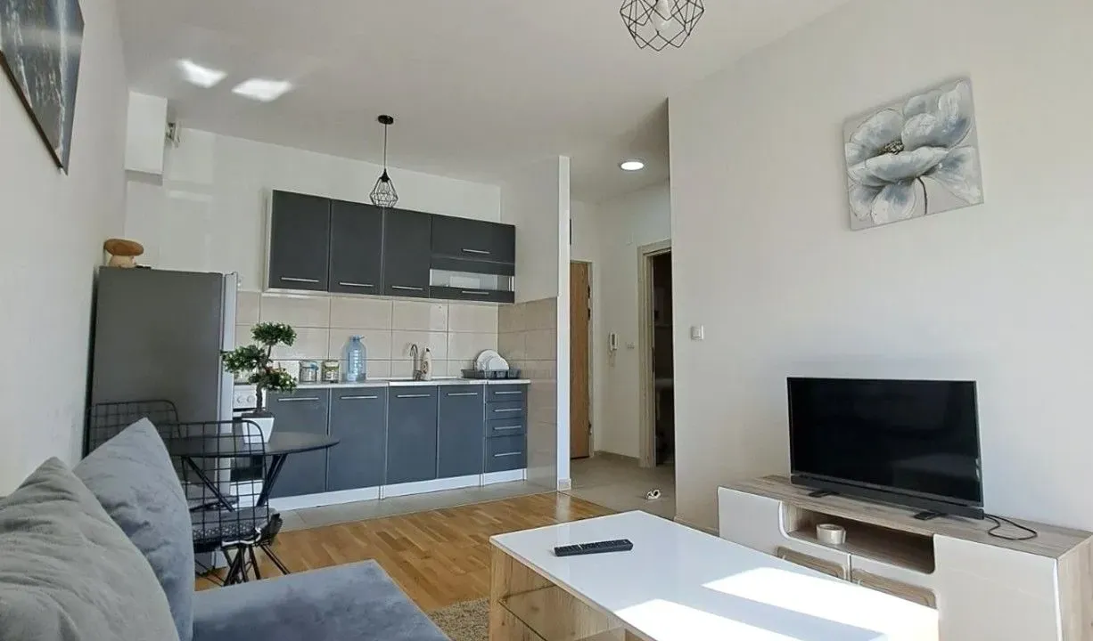 Rent, one bedroom apartment, 33m², Zabjelo, Podgorica