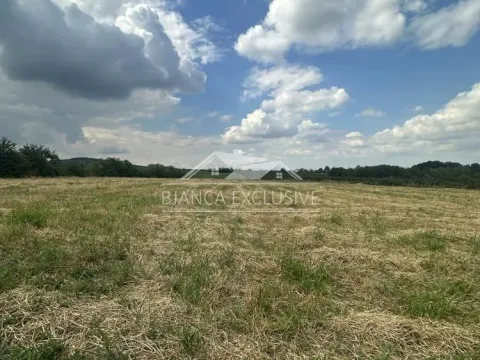 Prodaja, kuća, 120m², Centar, Topola - image 4