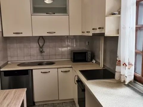 Izdavanje, kuća, 340m², Savski Venac, Beograd - image 4