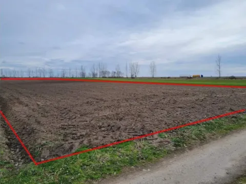 Sale, land lot, 3271m², Palić, Subotica - image 13