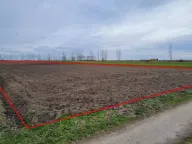 Prodaja, plac, 3271m², Palić, Subotica - image 13