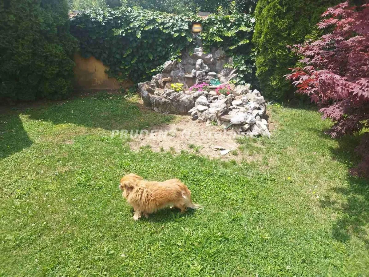 Sale, house, 250m², Surčin, Beograd