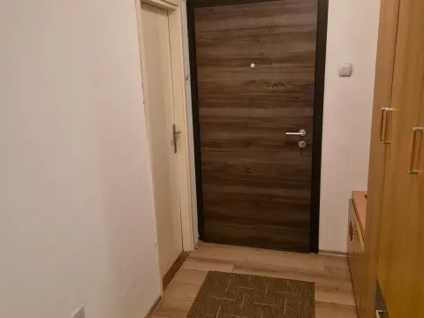 Izdavanje, dvosoban stan, 61m², Novi Beograd Blok 70, Novi Beograd Sve Podlokacije - image 11