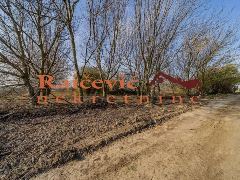 Prodaja, plac, 7700m², Zemun Sve Podlokacije, Beograd - image 6