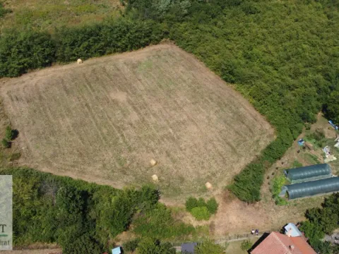 Prodaja, plac, 6100m², Obrenovac, Beograd - image 5