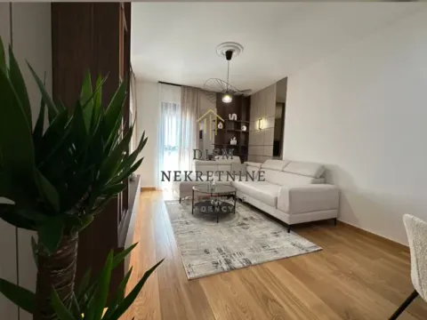 Izdavanje, jednosoban stan, 46m², Centar, Podgorica - image 15