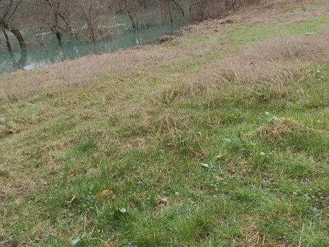 Sale, land lot, 4500m², Danilovgrad, Crna Gora - image 5