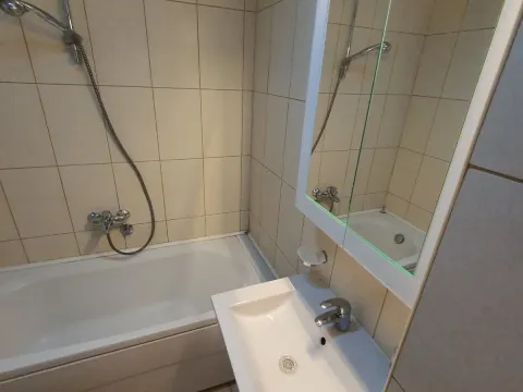 Izdavanje, jednosoban stan, 55m², Dalmatinska ulica, Podgorica - image 13