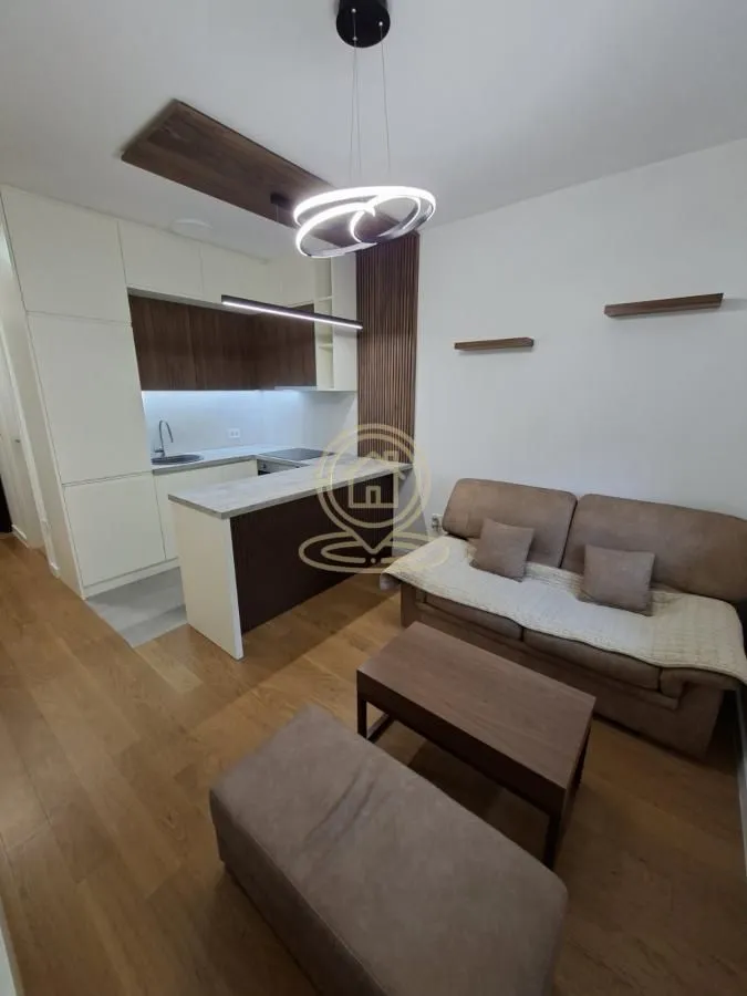 Izdavanje, jednosoban stan, 36m², Bulevar Evrope, Novi Sad Sve Podlokacije