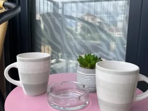 Rent, one bedroom apartment, 47m², Zabjelo, Podgorica - image 11