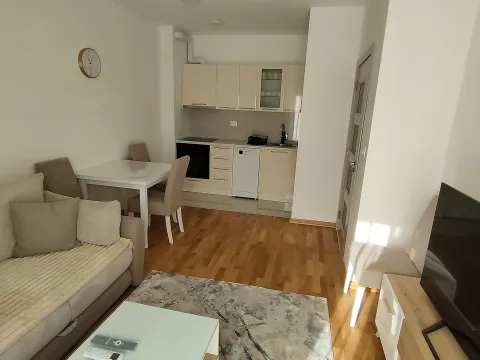 Izdavanje, jednosoban stan, 40m², Zabjelo, Podgorica - image 5