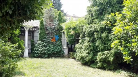 Green yard with lawn and landscaped vegetation in front of the house. - image 21
