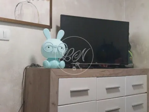 Sale, two bedroom apartment, 37m², Zemun Centar, Zemun Sve Podlokacije - image 3