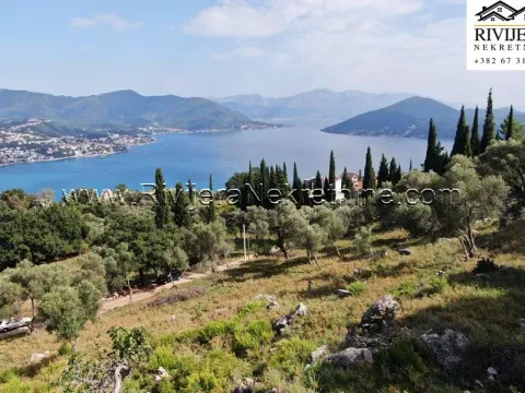 Prodaja, plac, 4323m², Žvinje, Herceg Novi - image 1