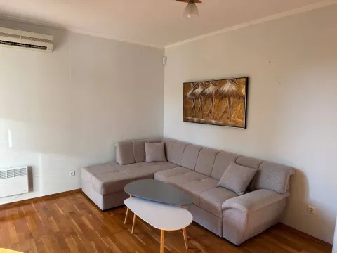 Rent, one bedroom apartment, 48m², Petrovac, Budva - image 8