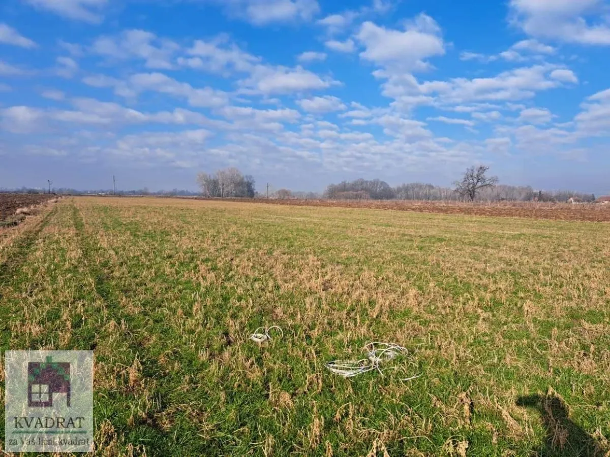 Prodaja, plac, 6500m², Zvečka, Obrenovac