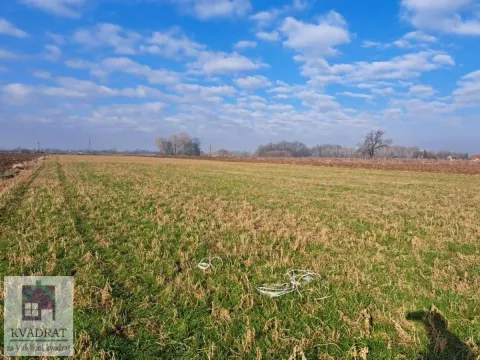 Prodaja, plac, 6500m², Zvečka, Obrenovac - image 7