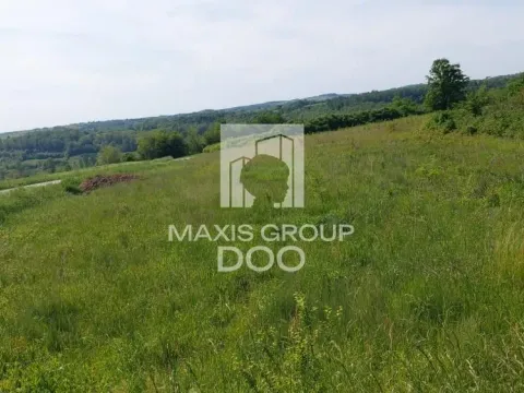 Prodaja, plac, 64800m², Kosmaj, Sopot - image 4