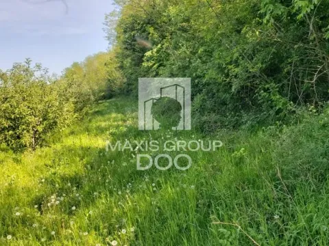 Prodaja, plac, 64800m², Kosmaj, Sopot - image 13