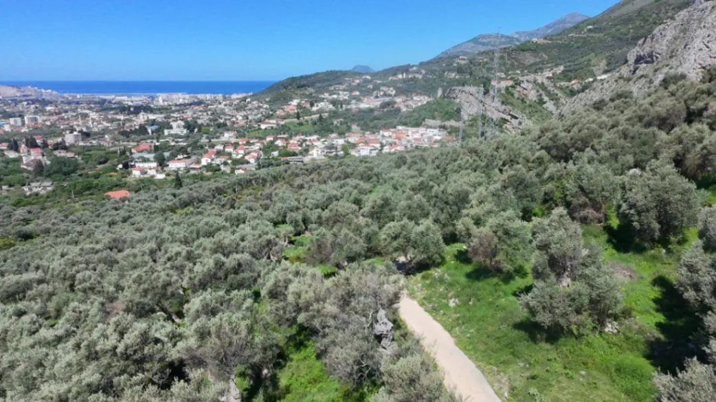 Prodaja, plac, 10500m², Stari Bar, Bar