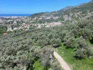 Prodaja, plac, 10500m², Stari Bar, Bar - image 10