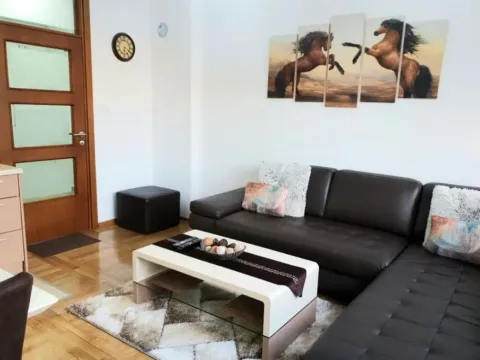 Izdavanje, jednosoban stan, 36m², Cetinje, Crna Gora - image 4