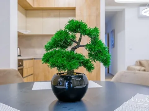 Prodaja, garsonjera, 57m², Rafailovići, Budva - image 23