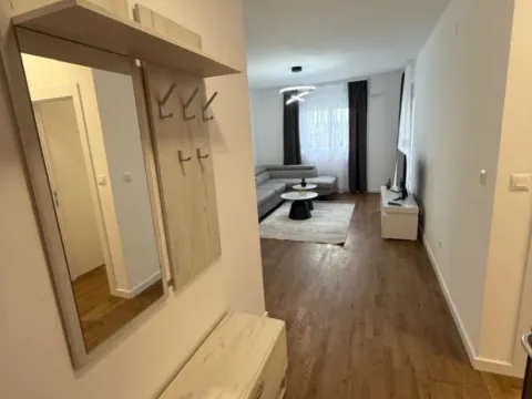 Izdavanje, jednosoban stan, 47m², Stari Aerodrom, Podgorica - image 10