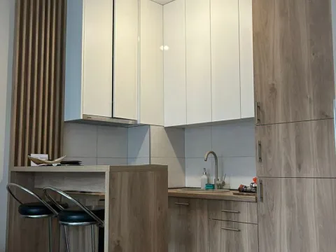 Izdavanje, garsonjera, 30m², Zagorič, Podgorica - image 4