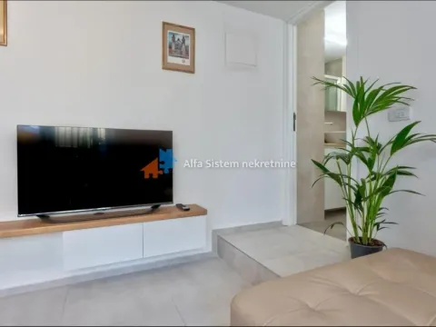 Izdavanje, dvosoban stan, 60m², Stari Grad, Beograd - image 11