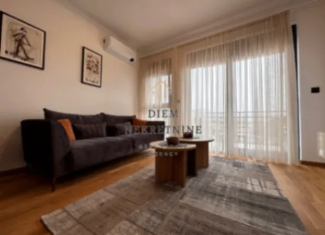 Izdavanje, jednosoban stan, 55m², Gorica C, Podgorica - image 4