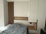 Izdavanje, jednosoban stan, 57m², Crveni Pevac, Niš - image 8