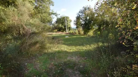 Zeleni plac okružen drvećem. - image 3